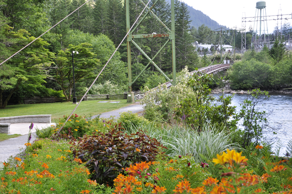 small suspension bridge